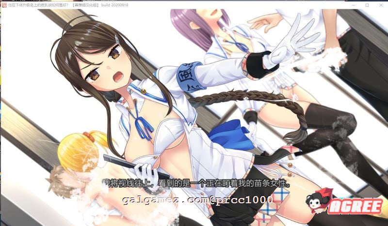 【神仙游戏/汉化】拔作岛！住在吉尔升级岛上贫乳该如何是好？精翻汉化版【4.9G/全CV】 畅玩游戏 预览第3张