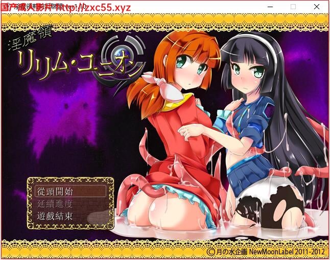 YIN魔領莉莉姆聯盟~SSTM完整汉化版【400M】 畅玩游戏 预览第1张-XACG动漫资源社——中文ACG动漫游戏社区