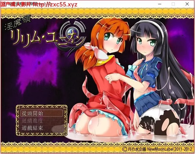 YIN魔領莉莉姆聯盟~SSTM完整汉化版【400M】 畅玩游戏 预览第1张-XACG动漫资源社——中文ACG动漫游戏社区