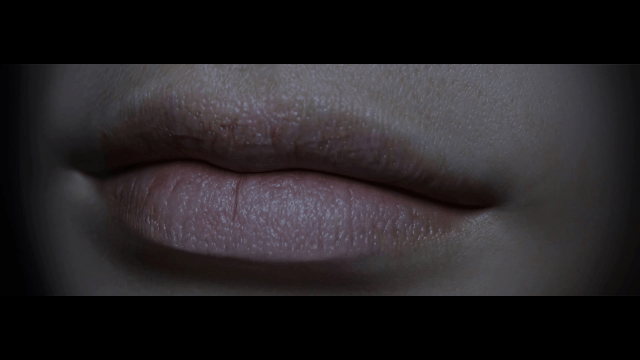 【欧美SLG/汉化/动态】血与帝国编年史 V2.0a 精翻汉化版【2月更新/电影画质/1.4G】 畅玩游戏 预览第3张