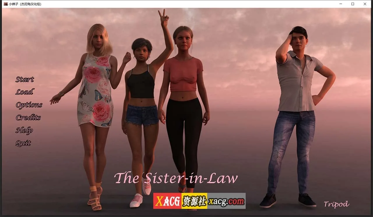 【欧美SLG/汉化/动态】小姨子 V0.04.05a 汉化版【PC+安卓/2.2G】 畅玩游戏 预览第1张