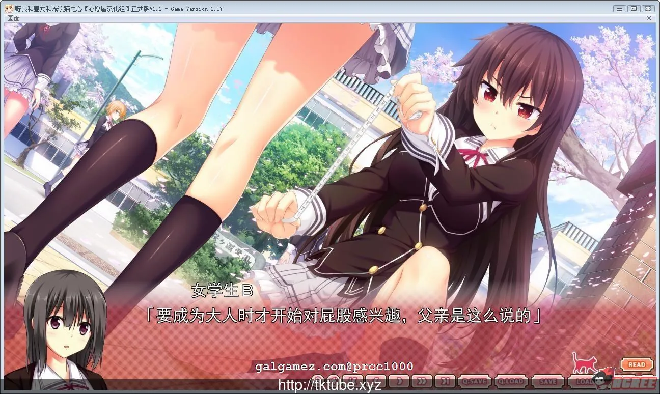 【大型ADV/中文/三版本】野良与皇女与流浪猫之心 全版本整合汉化【6G】【全CV/更新】 畅玩游戏 预览第5张