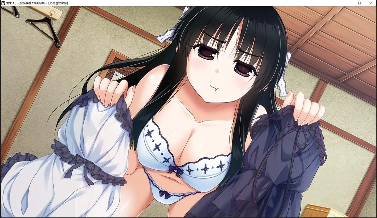 【汉化ADV/喜剧/姐控/CV】鬼来了。～姐姐遭遇了濒死危机～+存档+CG[心愿屋汉化组]【5G】 畅玩游戏 预览第6张