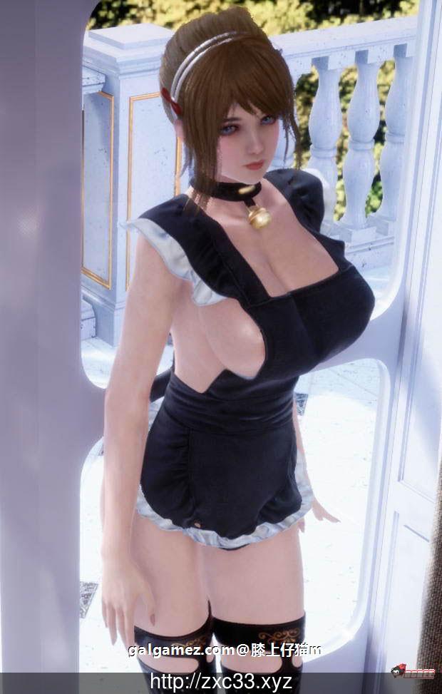 【3D互动/全动态/虚幻4】堕落玩偶女1号 Project H Fallen Doll V1.31作弊最终版+动画【16G/补档】 动漫动画 预览第4张