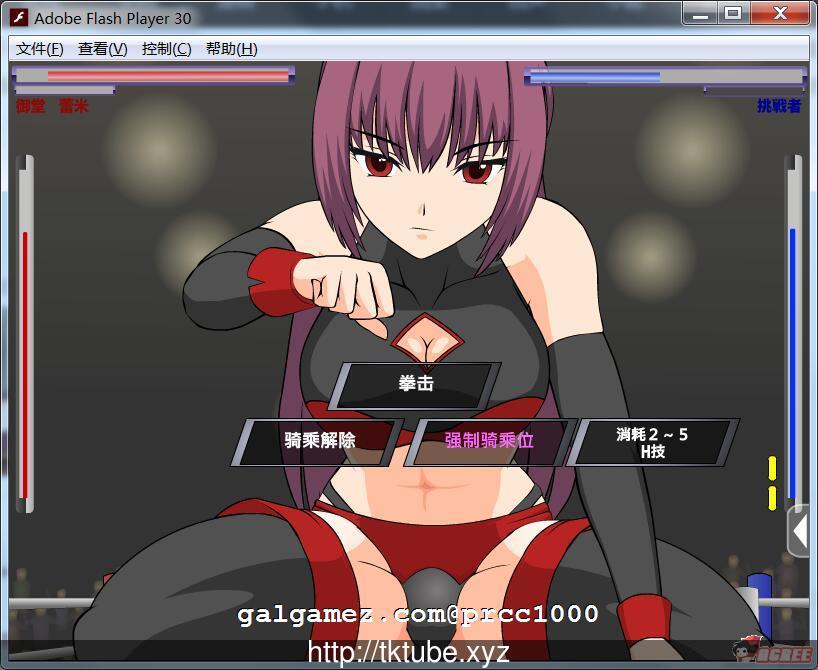 【ACT/汉化/全动态】斗技女王蕾米 完整精翻汉化版[PC+安卓]【500M】【新汉化】 畅玩游戏 预览第3张