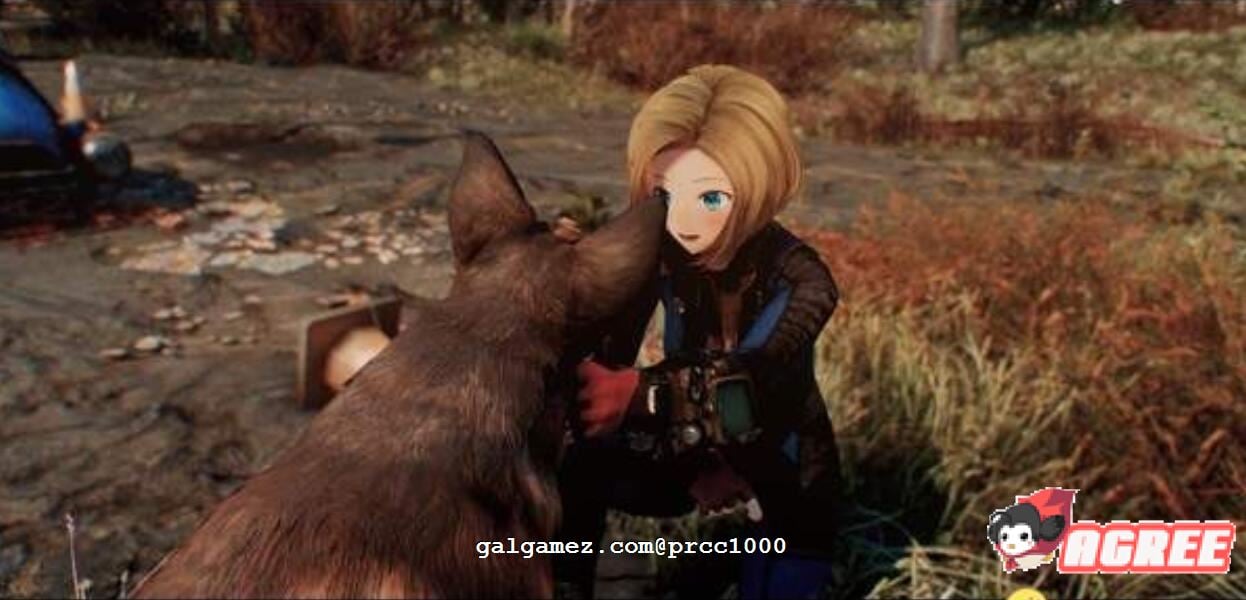 【3D大作/中文/魔改】《辐射4》废土后宫 V2.0稳定绅士整合版 【150G/魔改/小白福音】 畅玩游戏 预览第4张