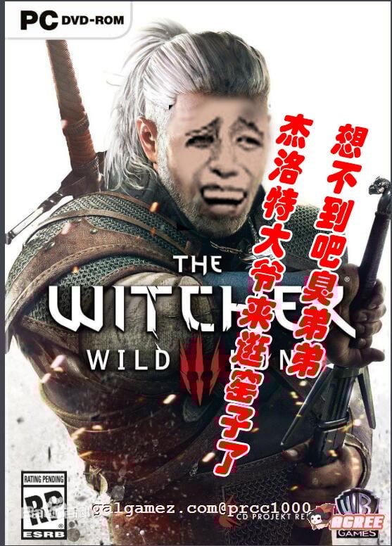 【3A大作/中文/魔改】巫师3：狂嫖 绅士邪恶魔改版[解压即玩小白福音]【55G/新魔改】 畅玩游戏 预览第2张