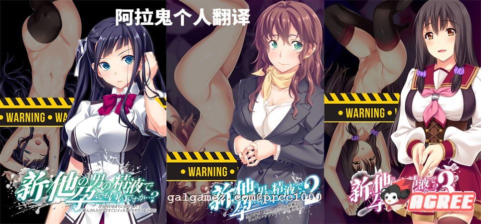 【ADV/汉化/绿帽三连】新·其他男人的O液真的可以用来造宝宝吗？1~3云汉化版【3.5G】 畅玩游戏 预览第1张