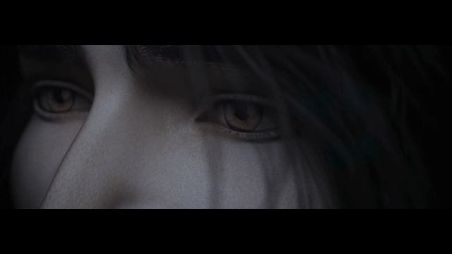 【欧美SLG/汉化/动态】血与帝国编年史 V2.0a 精翻汉化版【2月更新/电影画质/1.4G】 畅玩游戏 预览第2张