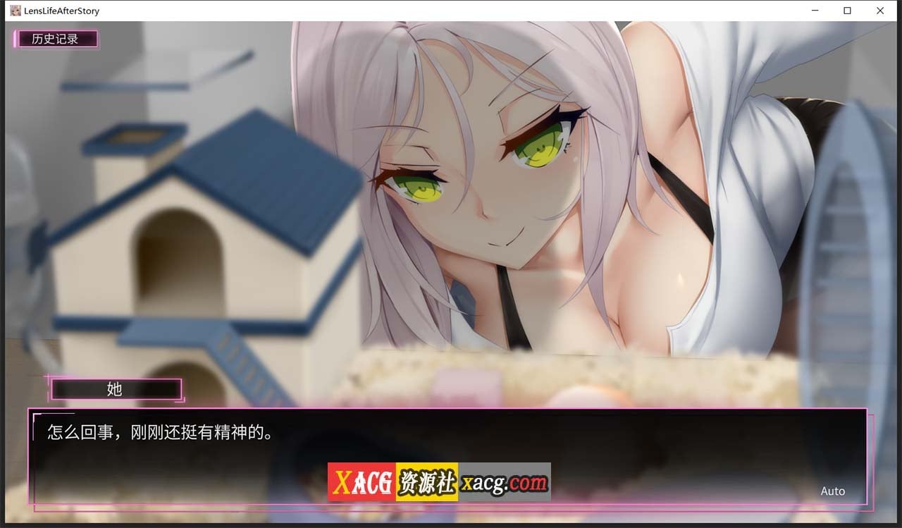 【神级SLG/中文/盗摄】我的镜头H人生2:AfterStory 官方中文版【新作/超美黑丝/2.6G】 畅玩游戏 预览第5张-XACG动漫资源社——中文ACG动漫游戏社区 【神级SLG/中文/盗摄】我的镜头H人生2:AfterStory 官方中文版【新作/超美黑丝/2.6G】 畅玩游戏 预览第5张