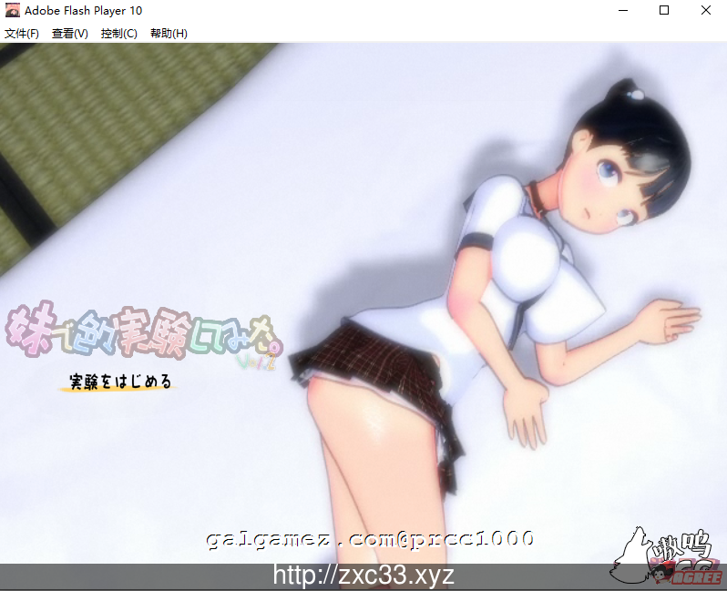 【HAG/3D/全动态】和妹妹做涩涩的接合实验吧！1+2完整版【2.5G】【全CV/合集】 畅玩游戏 预览第1张