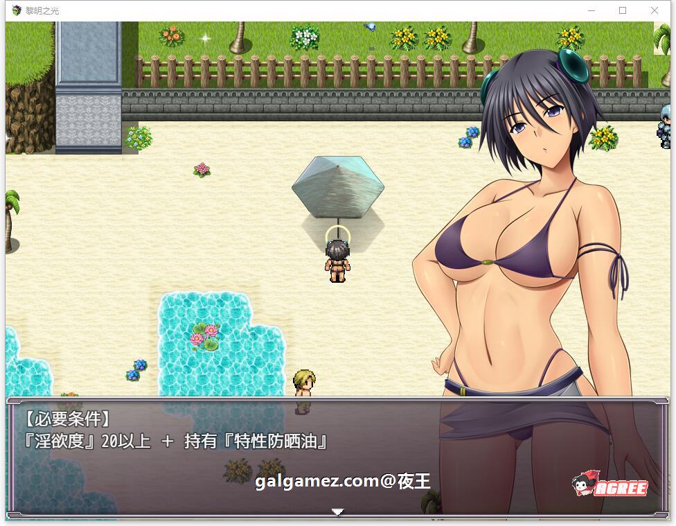 【日系RPG/精翻汉化/战斗H】黎明之光 精翻汉化完结版+全CG【890M】 畅玩游戏 预览第5张