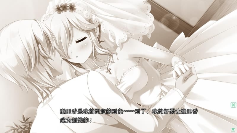 【汉化/后宫/巨乳】[HULOTTE] 新娘太好找了我很方！+存档【PC+安卓模拟器/4G】 畅玩游戏 预览第6张