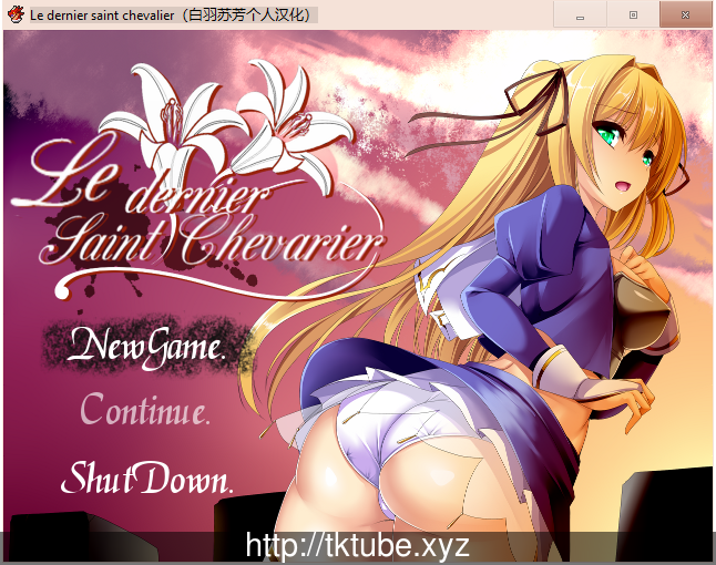 最后的圣骑士 白羽苏芳个人汉化版 【600M】【新汉化】 畅玩游戏 预览第1张-XACG动漫资源社——中文ACG动漫游戏社区