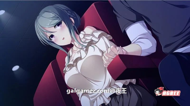 【大型后宫ADV/全CV】E学园生活 精翻汉化硬盘版+全CG存档+攻略【4.5G】 畅玩游戏 预览第13张