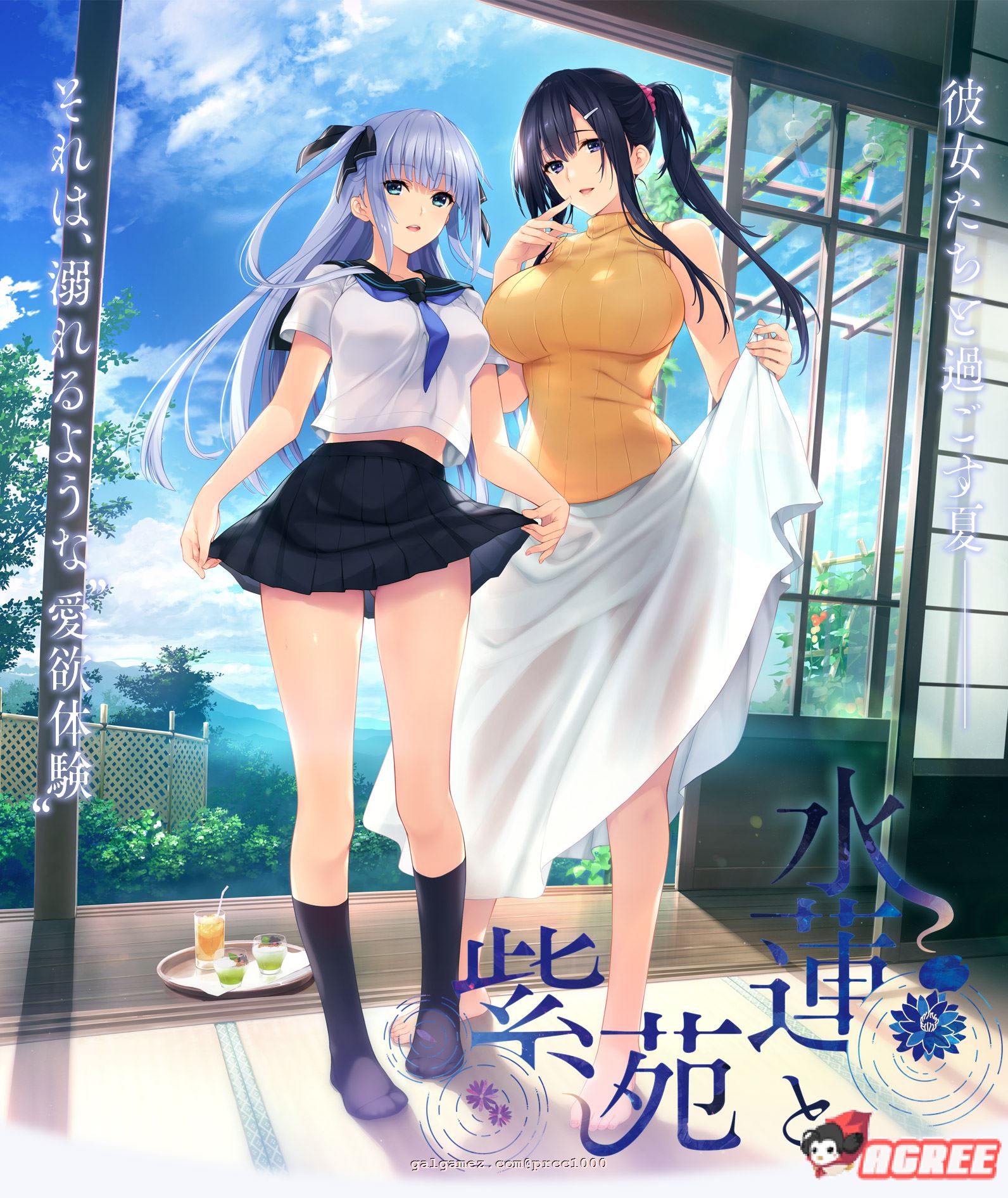 【极品ADV/汉化】水莲&紫苑 [如月真绫制作组新作]V1.0云汉化版【3G/新汉化/全CV】 畅玩游戏 预览第3张