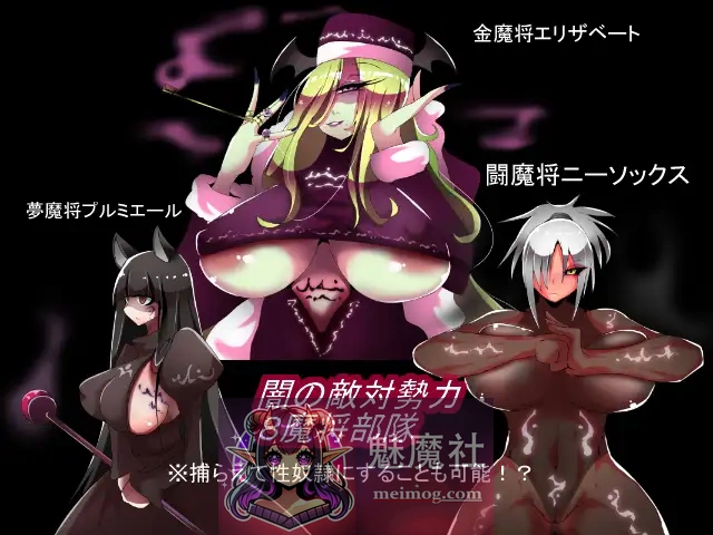 魔女骑士传说 ウィッチナイツサーガ AI汉化版 [精品SRPG/新汉化/后宫/爆乳] [FM/百度/1G]